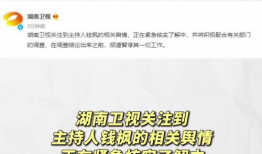 娱乐圈吃瓜壁纸下载安装,一键下载，轻松安装，畅享娱乐盛宴